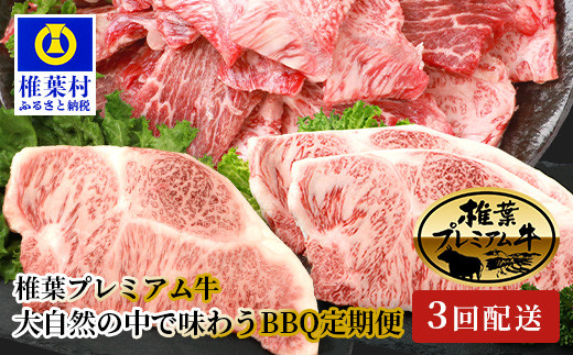 
【定期便3回】総重量1.8kg！椎葉プレミアム牛 大自然の中で味わうBBQ定期便≪焼き肉・ステーキ≫
