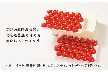 トマト ミディトマト  約2kg 60粒  贈答用 「ママなかせ」（ギフトボックス）《壱岐市》【壱岐の潮風】[JAE004] 野菜 ギフト プレゼント 贈り物 化粧箱 16000 16000円  コダ