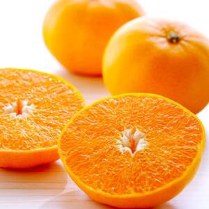 最高級みかん 媛皇 せとか 3kg 愛媛県 八幡浜市 西宇和地区 柑橘の女王【D25-308】【1713683】