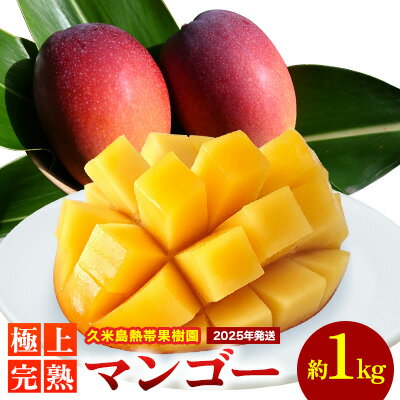 【ふるさと納税】【2025年発送】久米島熱帯果樹園 極上完熟マンゴー 約1kg（2～3玉） アーウィン アップルマンゴー マンゴー トロピカル フルーツ 果物 南国 沖縄 久米島 ふるさと納税 農園直送 甘い ジューシー 濃厚 完熟 糖度が高い とろける 特選品 ジュース スムージー