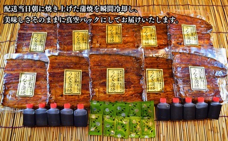 【安井家】国産鰻蒲焼　約120g×10パック