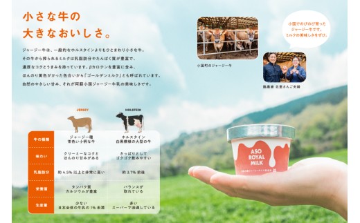 【ASO ROYAL MILK】阿蘇小国ジャージーアイス 小国ラズベリー 100ml 16個 1600ml 国産 熊本県産 小国ジャージー牛乳 ジャージーミルク ゴールデンミルク 国産ラズベリー 熊本