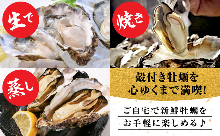 広島牡蠣の老舗！安心・安全の新鮮牡蠣【生牡蠣】牡蠣 かき 殻付き 20個入り 生食用 魚介類 海鮮 広島県産 江田島市/株式会社かなわ [XBP008]