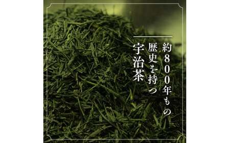 【6回定期便】宇治茶ペットボトル 500ml×24本 京都お茶 お茶ペットボトル ペットボトル 備蓄お茶 緑茶お茶 お茶
