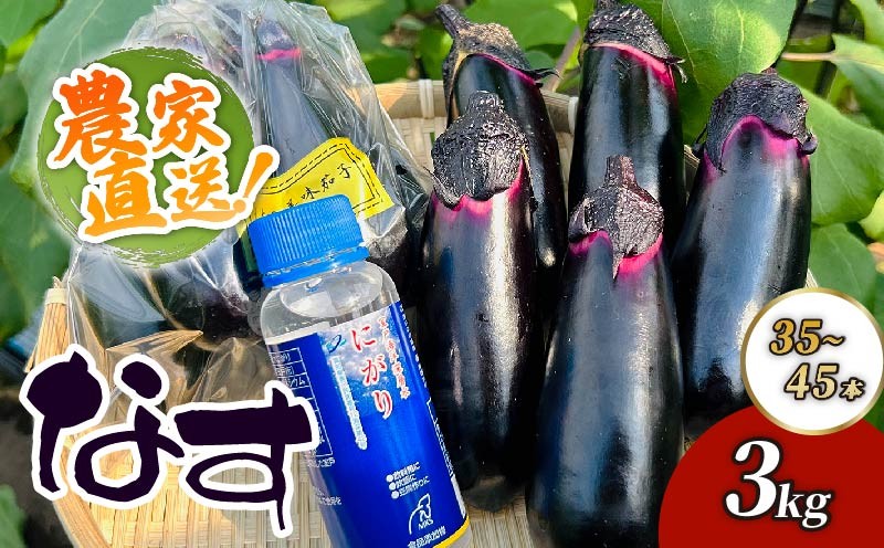 
                  農家直送　土佐の美味茄子の新鮮ナス　３kg　（室戸海洋深層水にがり使用） 野菜 なす ナス 常温 小袋 国産 夏野菜 茄子 小分け 旬 10000円 高知
                