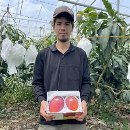 【2026年6月から順次発送・家庭用】仲本マンゴー園のアーウィンマンゴー1kg(2～3玉)【配送不可地域：離島】【1439395】