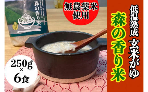 【無農薬／香り米使用】低温熟成 玄米がゆ「森の香り米」) 250g×6食　Bnm-18　／四万十 しまんと お米 おかゆタイプ パックご飯 無添加 湯煎 レンチン そのまま食べられる災害時の非常食