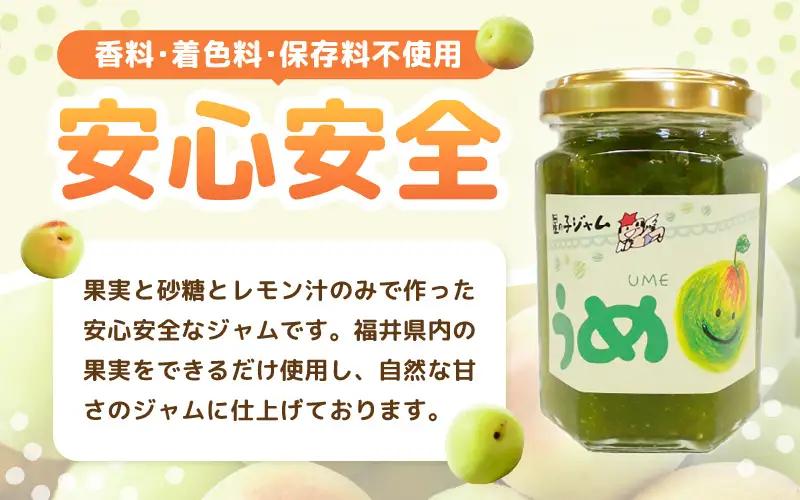 【福井県産】フルーツを使った ジャム 3種セット（梅ジャム 苺ジャム いちじくジャム） [m03-a019]