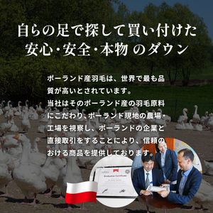 羽毛布団 ポーランドダックダウン85％ シングル 羽毛布団