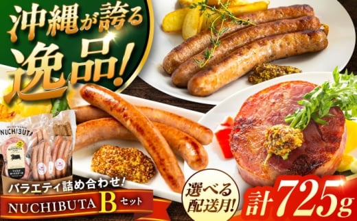 【2026年2月発送】 『NUCHIBUTA Bセット』 豚肉 ポークステーキ ソーセージ 詰め合わせ お取り寄せ 国産 ギフト 冷凍 沖縄市 / DELICATESSEN NUCHIBUTA[BCAR004-2]