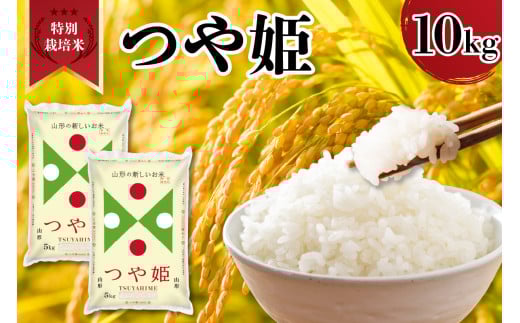 令和7年産 山形県産 特別栽培米 つや姫 10kg ( 5kg × 2袋 ) 精米 白米 2025年産 産地直送 山形県 米沢市