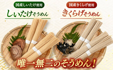 しいたけ素麺ときくらげ麺のセット（各2食分） 桂川町/オドラ株式会社[ADBA017]