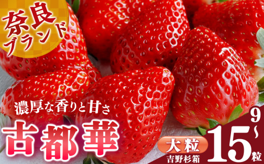 【 選べる 内容量 】贈答 平群 の 古都華 吉野杉 箱入り 大粒  9～15粒 阪野農園 | 先行予約 フルーツ 果物 くだもの ブランド いちご 苺 古都華 ことか 甘い 大人気 満足 希少 希少品種 ストロベリー 美味しい 品種 特徴 糖度 2月 3月 4月 発送 旬 送料無料 濃厚 香り 果汁 味わい深い お取り寄せ 産地直送 農家直送 名産地 奈良県 平群 町