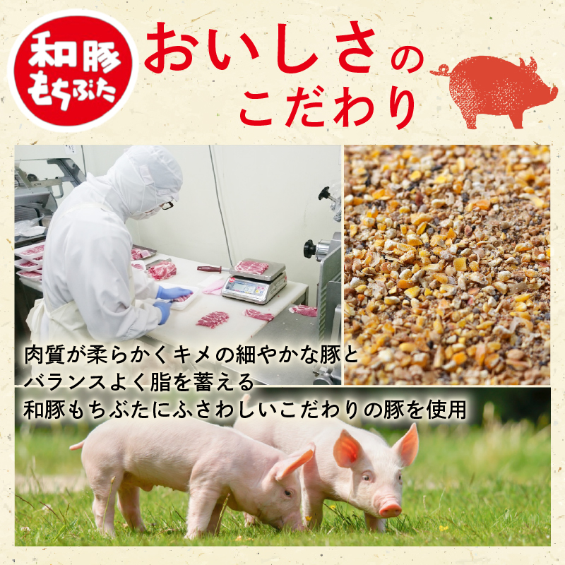 豚肉 切り落とし 和豚 もちぶた 小間切れ 4kg ブランド豚 和豚もちぶた ブランド 美味しい豚 豚肉 肉 にく 肉料理 夕食 晩ごはん ポーク おかず 小分け 便利 肉の片山 新潟県 新発田市 k
