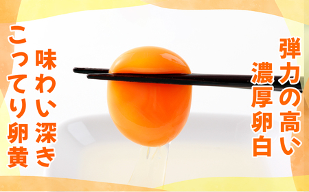 烏骨鶏 たまご 10個『北川鶏園 房総のあおぞら農場』｜鶏卵 [0249ch]