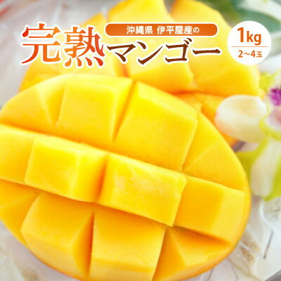 【ふるさと納税】伊平屋産の完熟マンゴー約1kg【配送不可地域：離島】【1497027】