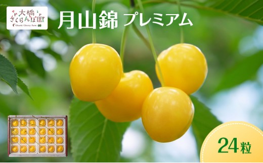
                  【先行予約】さくらんぼ 月山錦 プレミアム 24粒 最高級 特大粒 農林水産大臣賞受賞 大橋さくらんぼ園 フルーツ 果物 ギフト 贈り物 北海道 芦別市 送料無料 [№5342-1068]
                