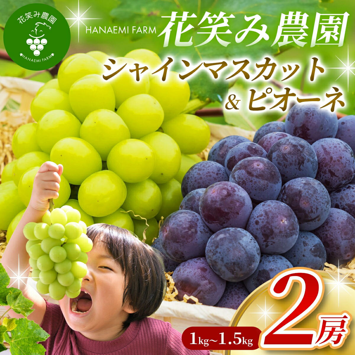 【ふるさと納税】 シャインマスカット＆ニューピオーネ 食べ比べセット 計1kg〜1.5kg（2房）化粧箱入り ぶどう 【9月中旬から順次発送】 詰め合わせ フルーツ 果物 ギフト 葡萄 ぶどう 数量限定 岡山県 真庭市産 旬 【配送不可地域：離島】