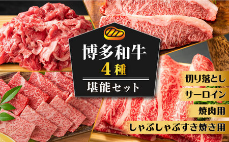 博多和牛 堪能セット 《築上町》【株式会社MEAT PLUS】 [ABBP117] 和牛薄切り 和牛ステーキ おすすめ和牛 定番和牛 人気和牛 黒毛和牛 和牛しゃぶしゃぶ 和牛うす切り 和牛お取り寄せ 自宅用和牛 贈答用和牛 57000円 