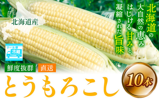 [1.12-359]【2025年先行予約】照之家商店 鮮度抜群とうもろこし10本 | とうもろこし トウモロコシ 北海道とうもろこし 朝採れとうもろこし 産地直送とうもろこし 北海道産とうもろこし 