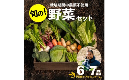 
野菜 詰め合わせ セット 6～7品目 ツクヨミ ファーム ジャガイモ アスパラガス レンコン トマト なす ピーマン きゅうり ゴーヤ オクラ かぼちゃ 阿波市 徳島県
