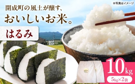 【令和7年産】 はるみ 10kg 【Junkan農園】 米 お米 精米 白米 はるみ 令和7年産 [BDBF002-2]