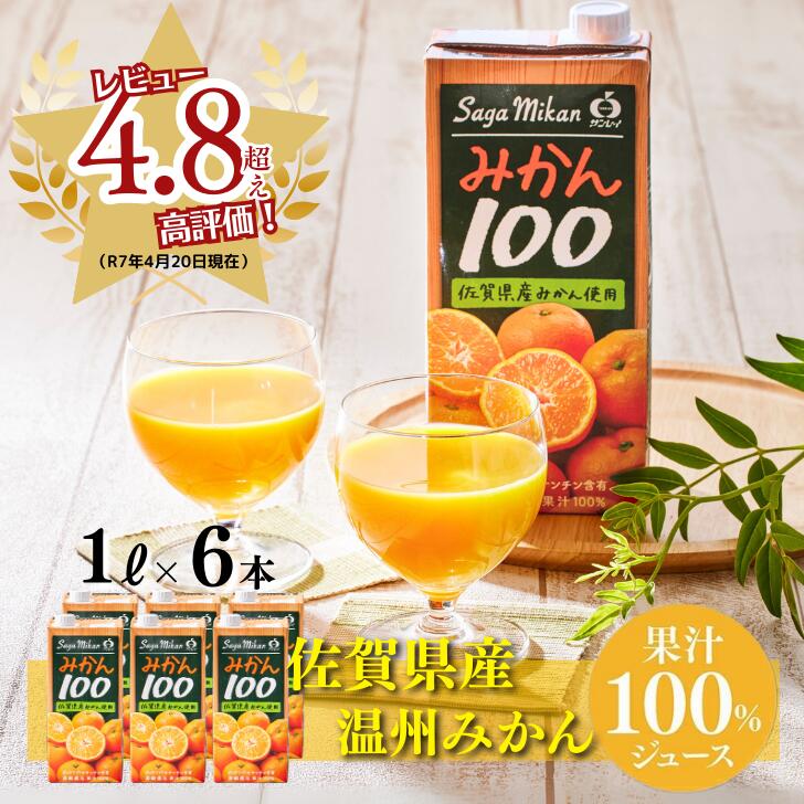 【ふるさと納税】さがみかん100 1L×6本 みかんジュース オレンジジュース 紙パック パックジュース 果汁100% 温州みかん ギフト 贈答 贈り物：B100-078
