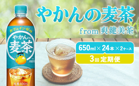 【3回定期便】やかんの麦茶 from 爽健美茶 PET 650ml 48本×3回 合計144本 3ヶ月 麦茶【コカコーラ】むぎ茶 麦茶 アウトドア 日本茶 お茶 麦茶 むぎ茶 アウトドア ペットボトル カフェインゼロ ノンカフェイン 麦茶 アウトドア 常温 送料無料 こども 麦茶 アウトドア 美容 むくみ 麦茶 アウトドア