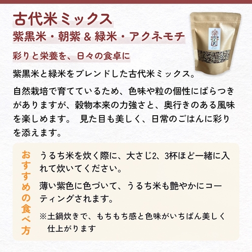 【交響するお米】［古代米ミックス］自然栽培 朝紫&アクネモチ 250g×4袋（ 令和7年産 ） 富山県 氷見市 |  移住農家が里山から直送 米 古代米 紫黒米 緑米
