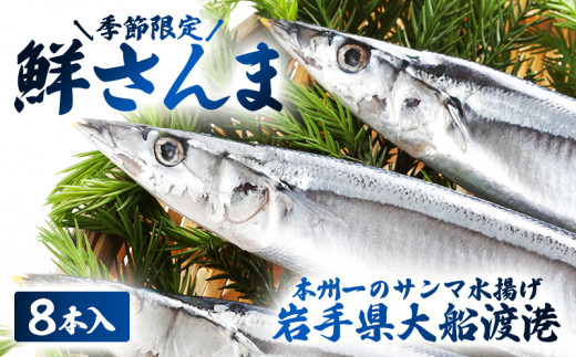 鮮さんま 8本入 (1尾 100g〜120g) 岩手大船渡産 生さんま サンマ 秋刀魚 海鮮 魚貝類 魚介類 産地直送 新鮮 期間限定 鮮魚 新鮮さんま 魚 焼き魚 三陸さんま 岩手 大船渡市
