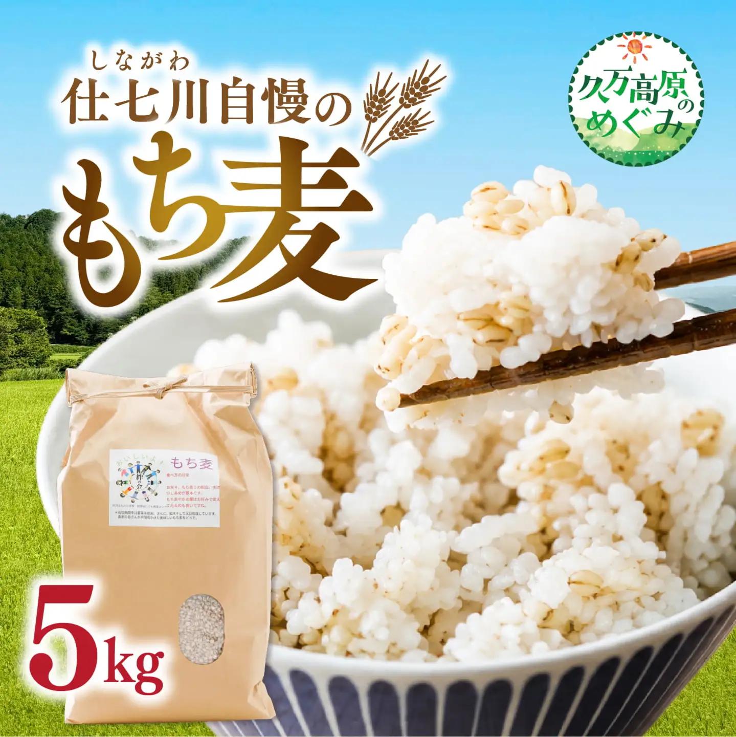 【先行予約】久万高原町 仕七川自慢 もち麦 5kg ｜ 雑穀 健康志向 腸活 食物繊維 ダイエット お取り寄せ 自然 愛媛県 仕七川地区の清流 ※2026年7月～発送