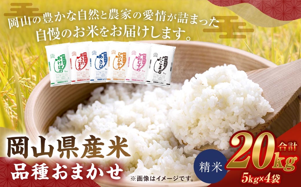 
                  【 令和8年産 】 岡山県産米 品種おまかせ 20kg （ 5kg × 4袋 ） お米 米 こめ コメ 白米 精米 白飯 飯 ご飯 きぬむすめ あきたこまち ひのひかり あけぼの にこまる あさひ おにぎり 和食 国産 ブランド米 ブランド 【 2026年11月上旬から2027年8月下旬迄発送予定 】
                