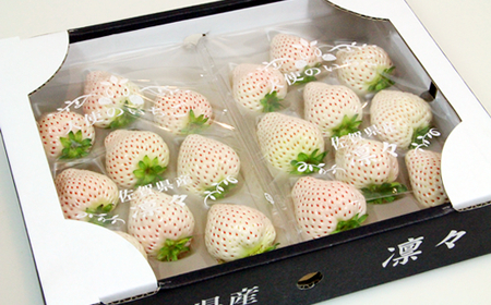 【先行予約】R9年1月中旬頃出荷開始 佐賀県産いちご 天使のいちご 240g X 2パック いちご 果物 B120-065