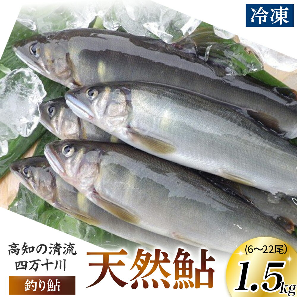 【ふるさと納税】四万十川上流の天然鮎 釣り鮎 1.5kg【冷凍6～22尾】【着日指定不可】Esj-A43k あゆ アユ 魚 魚介 川魚 塩焼き 天然 個包装 小分け