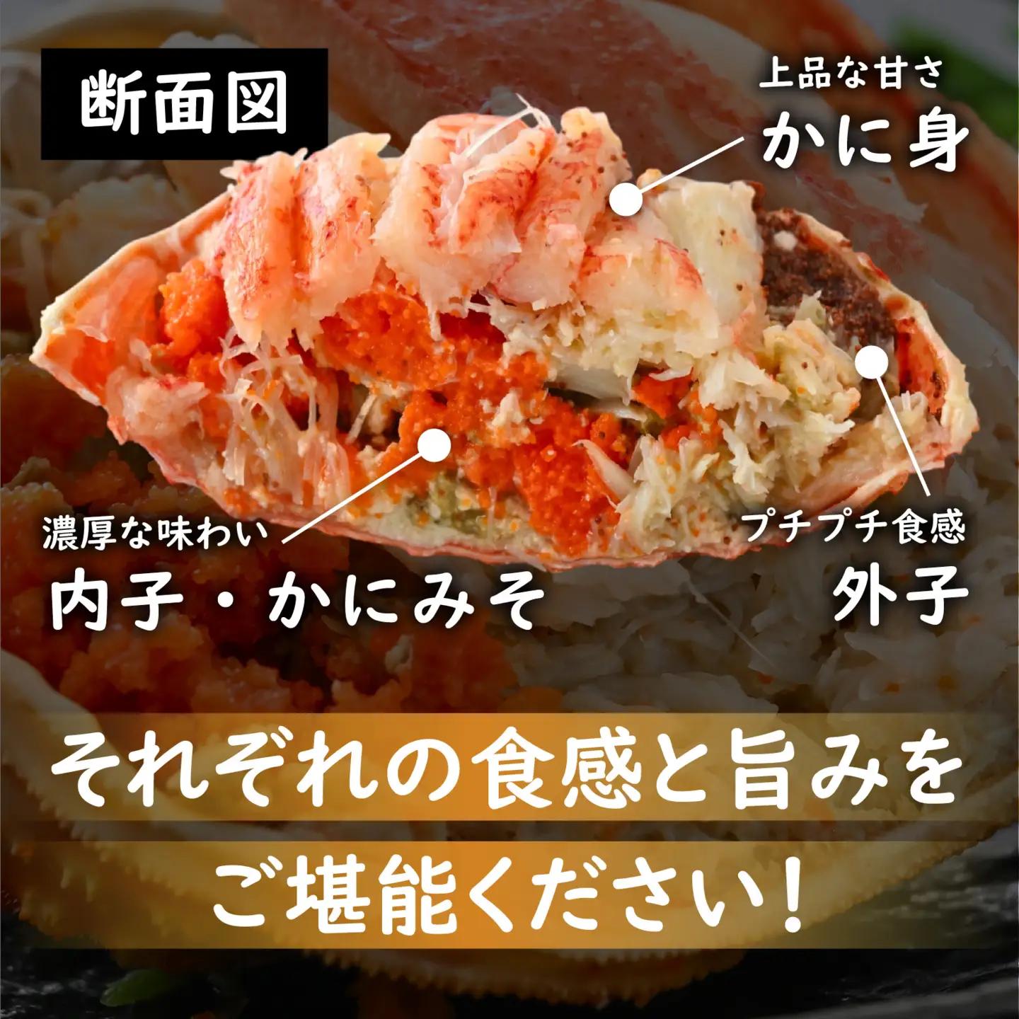 【訳あり】釜茹で 蟹好き集まれ！オオズワイガニ（メス）甲羅盛 2個セット [A-096035] / ズワイガニ