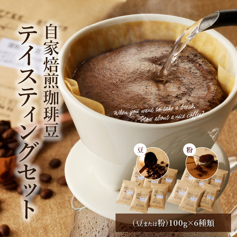 【ふるさと納税】 コーヒー 自家焙煎 豆 粉 選べる 100g 6種類 テイスティングセット 浅煎り 中煎り 深煎り 海外産豆 エチオピア グァテマラ ブラジル コスタリカ インド インドネシア ケニア 自家焙煎珈琲こん日和