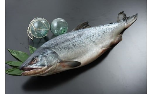 
            海産問屋カネニ　荒巻鮭１本物2.5ｋｇ(D0015)
          