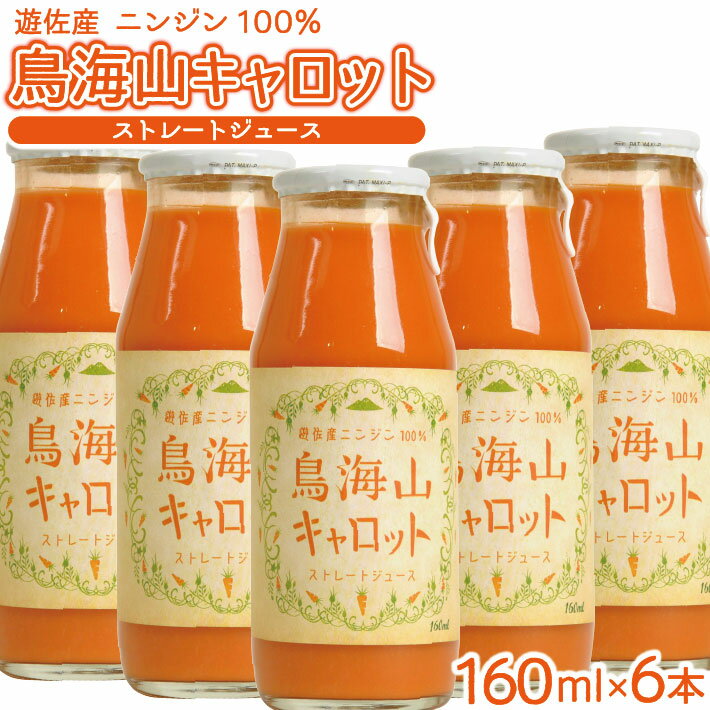 【ふるさと納税】キャロットジュース 鳥海山キャロット 砂糖不使用 160ml×6本 人参 にんじん ニンジン 野菜 ジュース ストレート 100% 濃厚 セット 東北 山形県 遊佐町 庄内