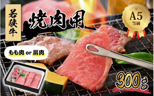 
若狭牛 (A5ランク) 焼肉 300g【牛肉 BBQ バーベキュー アウトドア A5ランク 焼肉 お取り寄せ 黒毛和種 もも肉 肩肉 冷凍 1パック 小分け】[A-022005]
