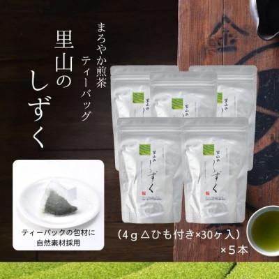 ふるさと納税 島田市 まろやか煎茶ティーバッグ　里山のしずく　5本