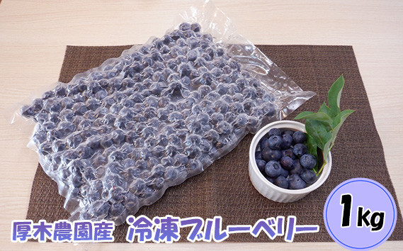 
No.840 厚木農園産　プレミア冷凍ブルーベリー（1kg） ／ 果物 フルーツ 果実 神奈川県 特産品
