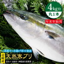 【ふるさと納税】【11/1〜1/15お届け 年末年始用】天然 寒ブリ（ 4キロ台 丸もの ） 《壱岐市》【壱岐島　玄海屋】[JBS014] ぶり 寒ぶり ブリ 魚 刺身 しゃぶしゃぶ 71000 71000円 7万円 のし プレゼント ギフト 冷蔵配送