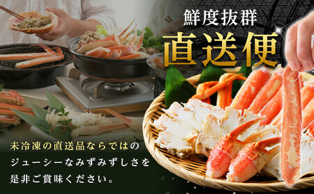 【ふるなびWEEK対象】【訳あり】金沢港 直送！サイズおまかせ ボイル 加能ガニ 2杯セット   ズワイガニ ずわい ズワイ蟹 蟹 カニ 冷蔵 人気 おすすめ 期間限定 FN-Limited