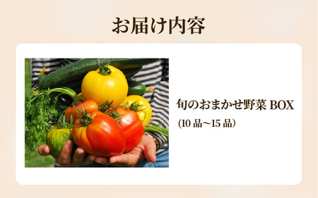 旬のおまかせ野菜BOX 10品～15品 単発便
