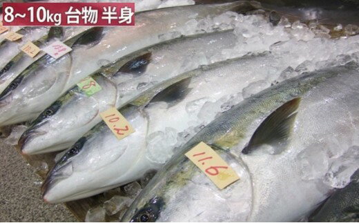 【ふるさと納税】【先行予約】 期間限定 ひみ寒ぶり 半身プラン【極み！とれとれ氷見】※配送エリア限定 富山 湾 寒ブリ 鰤 氷見 能登 国産 寒鰤