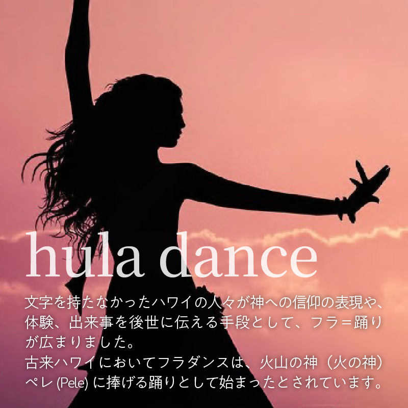 フラダンスレッスン 体験利用券【１名様1回分】 美容 健康  ダイエット デトックス  レッスン 体験 入門 講座 チケット 利用券  碧南市  H197-001