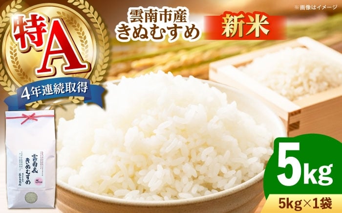 
            【新米】雲南市産きぬむすめ 5kg 島根県雲南市/有限会社藤本米穀店 ｜食味ランキング 特A 白米 精米 コメ 5キロ [AIDB099]
          