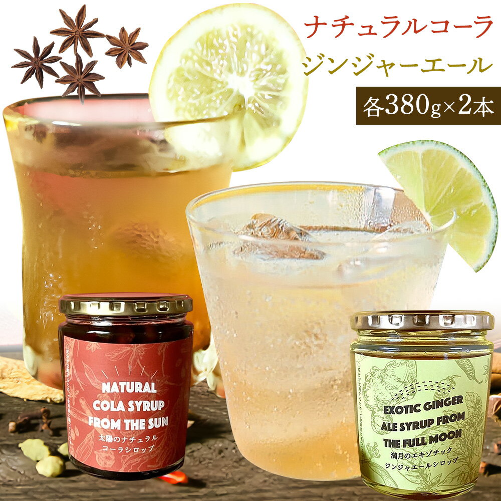 【ふるさと納税】太陽のナチュラルコーラ＆満月のエキゾチックジンジャエール 濃縮タイプ 1瓶約7～8杯分 TABEL株式会社《30日以内に出荷予定(土日祝除く)》 │ クラフトコーラ クラフトジンジャーエール 炭酸割り コーラシロップ お取り寄せ 徳島県 佐那河内村