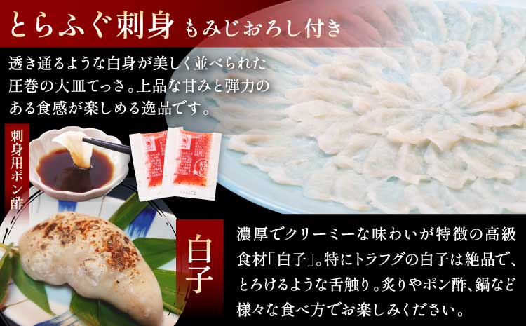 【先行予約】【数量限定】1日10セット限定！【白子付】大皿使用 国産最高級！天草 とらふぐ フルコース スペシャル（8〜10人前）【2026年12月下旬から2027年3月下旬発送予定】 〈熊本地震復興