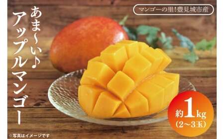 【2026年6月下旬より順次発送】マンゴーの里！豊見城市産♪あま?い♪アップルマンゴー 約1kg(2～3玉)(家庭用) (BV010-1)
